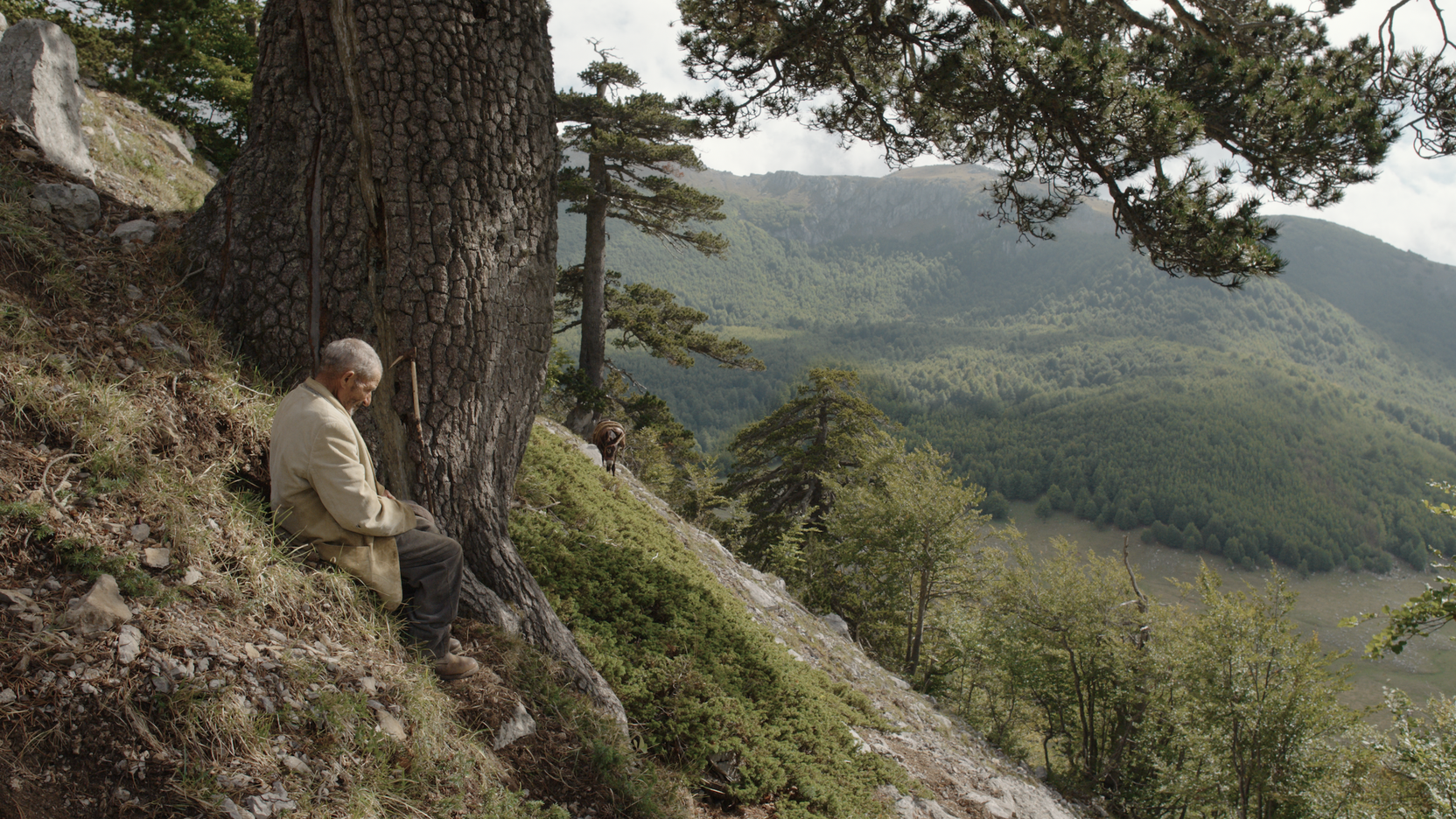 Náhledový obrázek k článku Díra