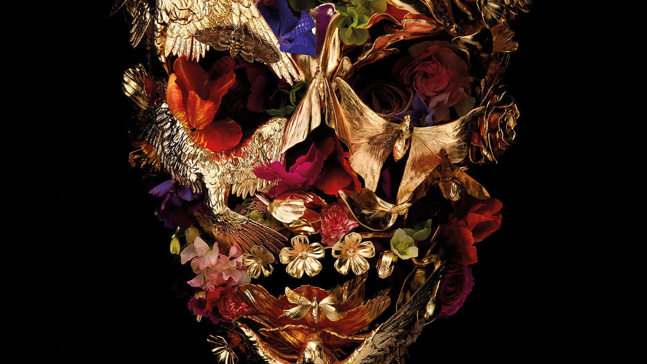 Náhledový obrázek k článku McQueen