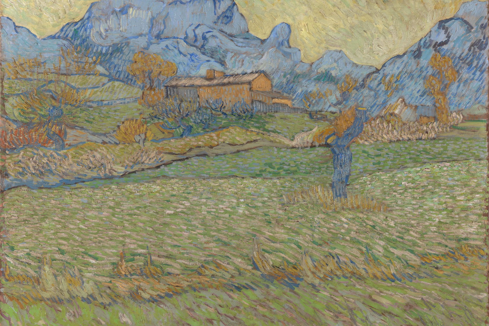 Náhledový obrázek k článku Umění v kinech pokračuje snímkem o ženě, která objevila talent van Gogha