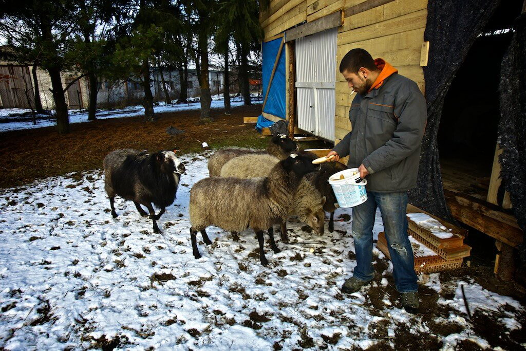 Foto Tomáš Třeštík