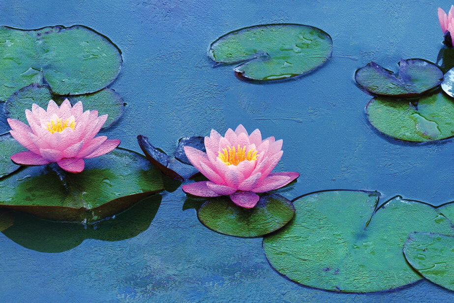 Náhledový obrázek k článku Dokumentem o Monetovi začíná jarní cyklus Umění v kině