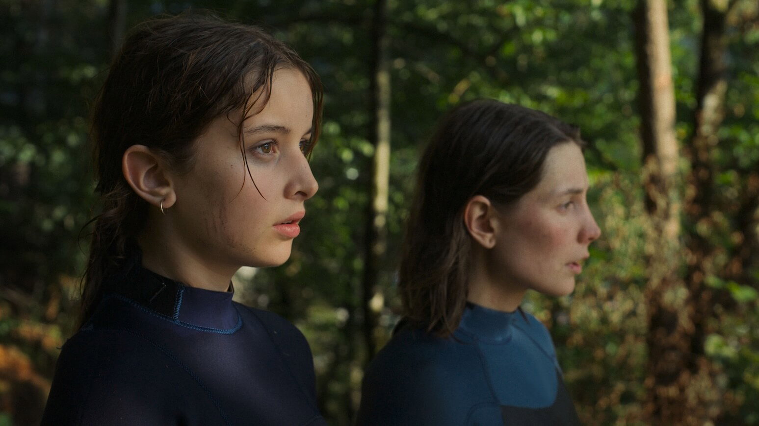 Náhledový obrázek k článku Na druhé straně léta