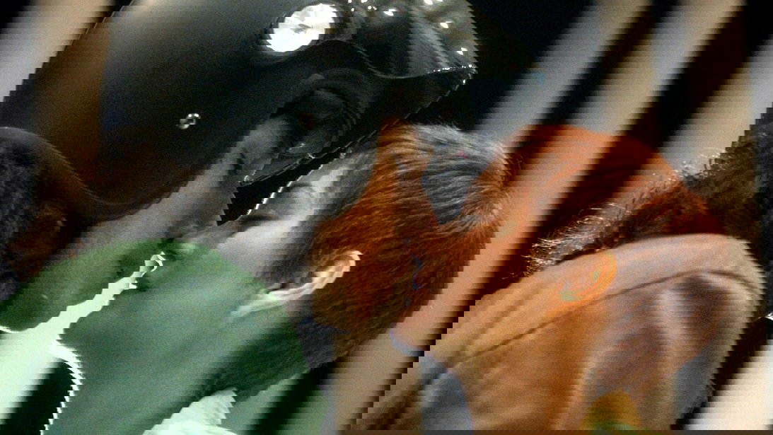 Náhledový obrázek k článku Annette