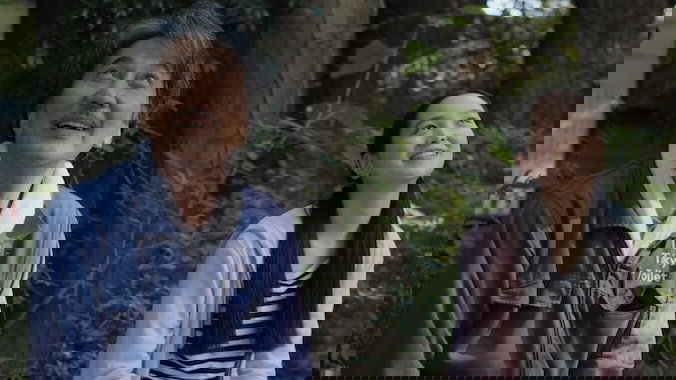 Náhledový obrázek k článku Dokonalé dny